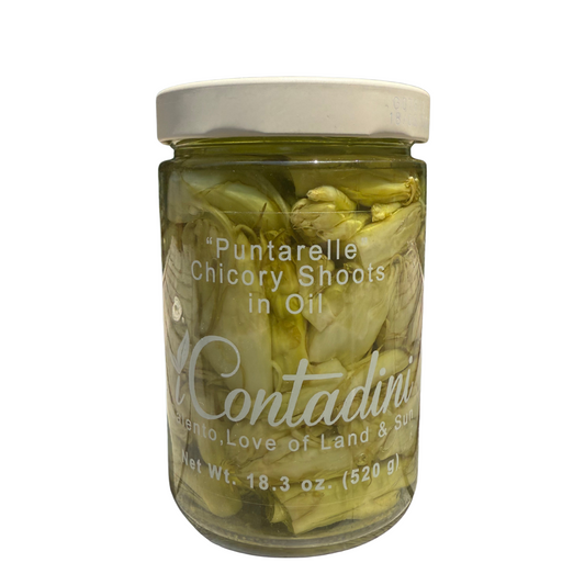 Jar of Contadina Puntarelle Chicory Shoots in Oil on a white background